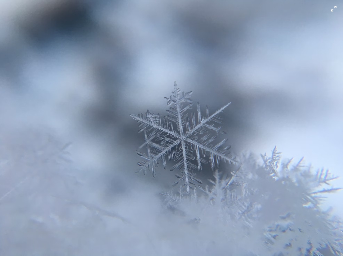 天气下雪.png